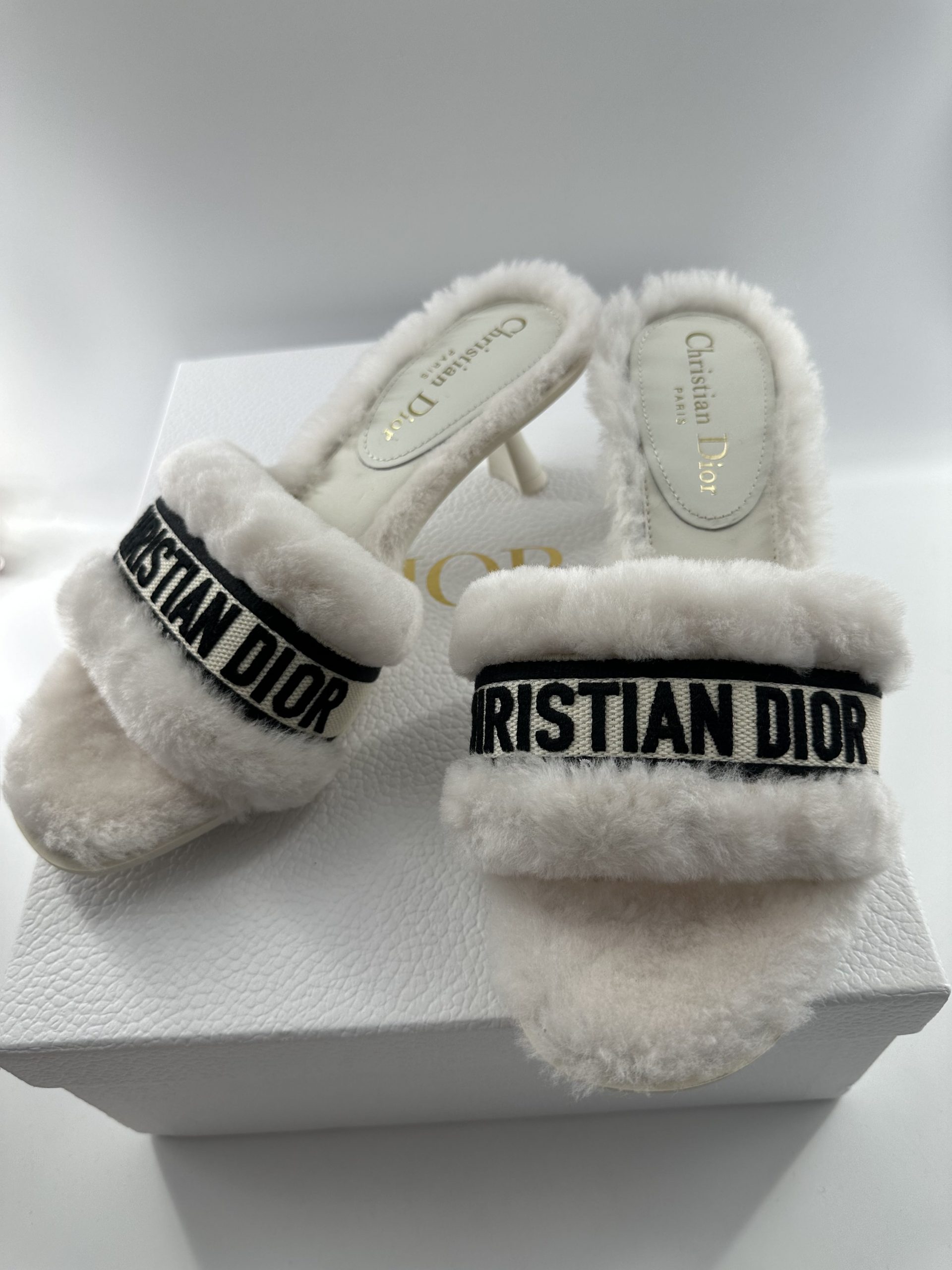 Dior Dway Heeled Slide